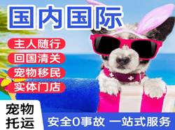 昌都邦达国际宠物托运 【国